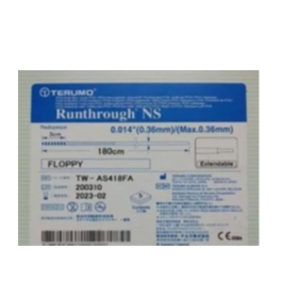 resources of Runthrough NS (TERUMO) exporters