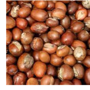 resources of SHEA NUTS exporters
