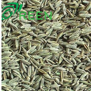 resources of Egyptian Cumin High Quality exporters