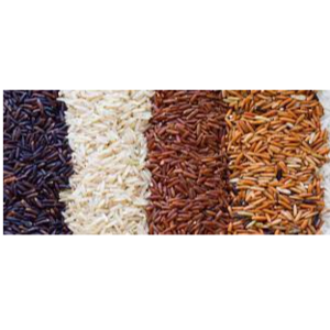 resources of Ceylon Rice Verities exporters