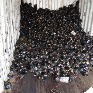 resources of AC/Fridge Compressor Scrap Supplier with free shipping exporters