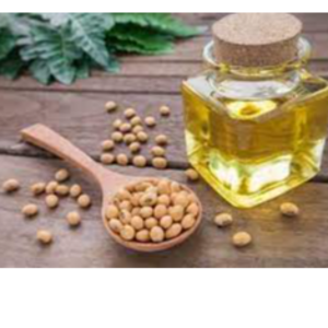 resources of soyben oil exporters