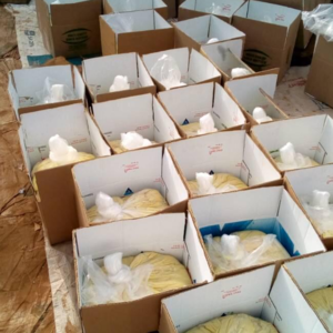 resources of Raw organic shea butter exporters