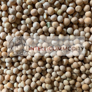 resources of ??????? ??????? ?????? ???? exporters