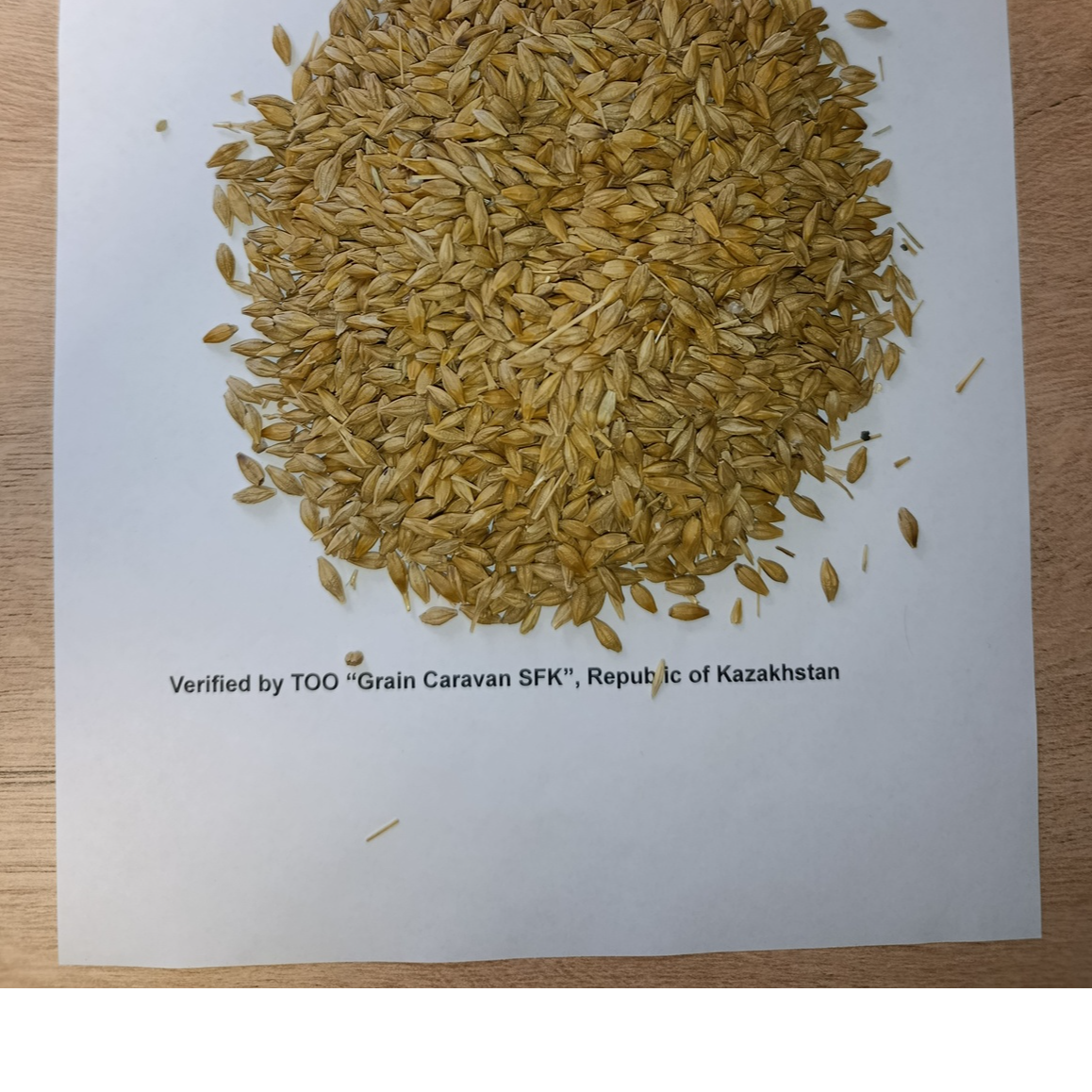 resources of Barley exporters