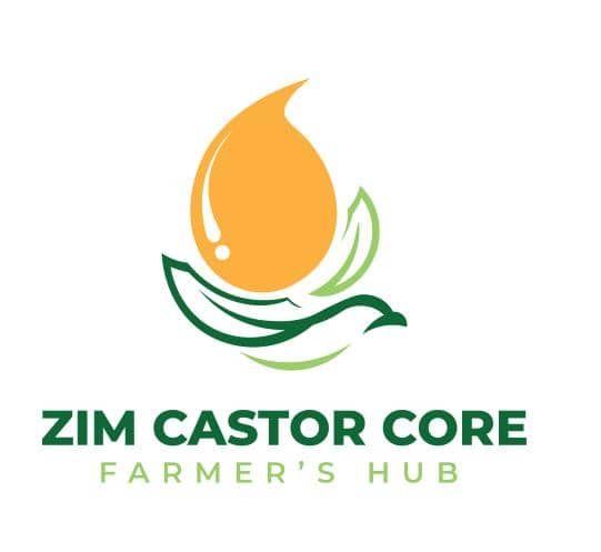 ZIM Castor Core Hub