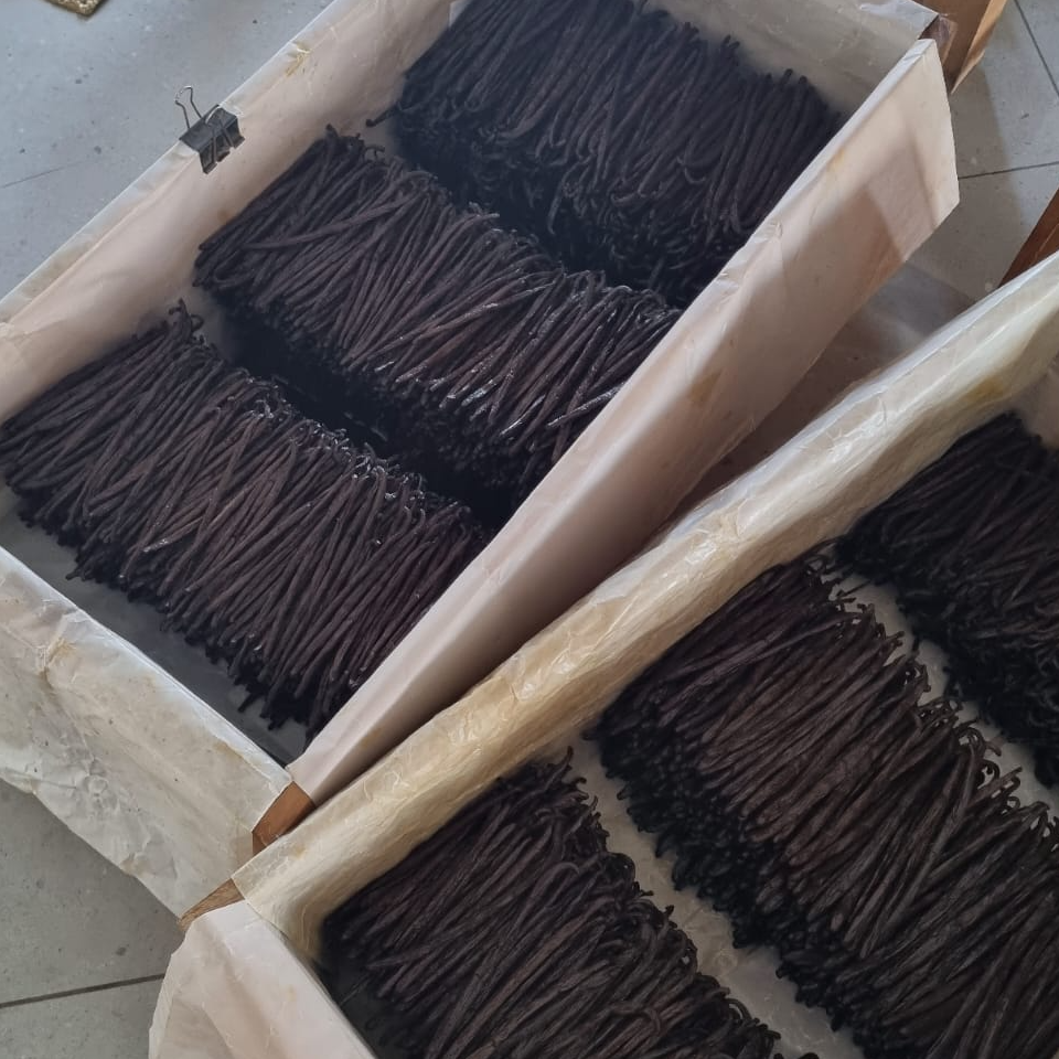 resources of Vanille en gousse exporters