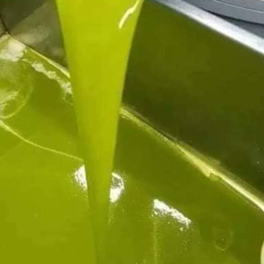 resources of Bulk Sweet Extra Virgin Olive Oil exporters
