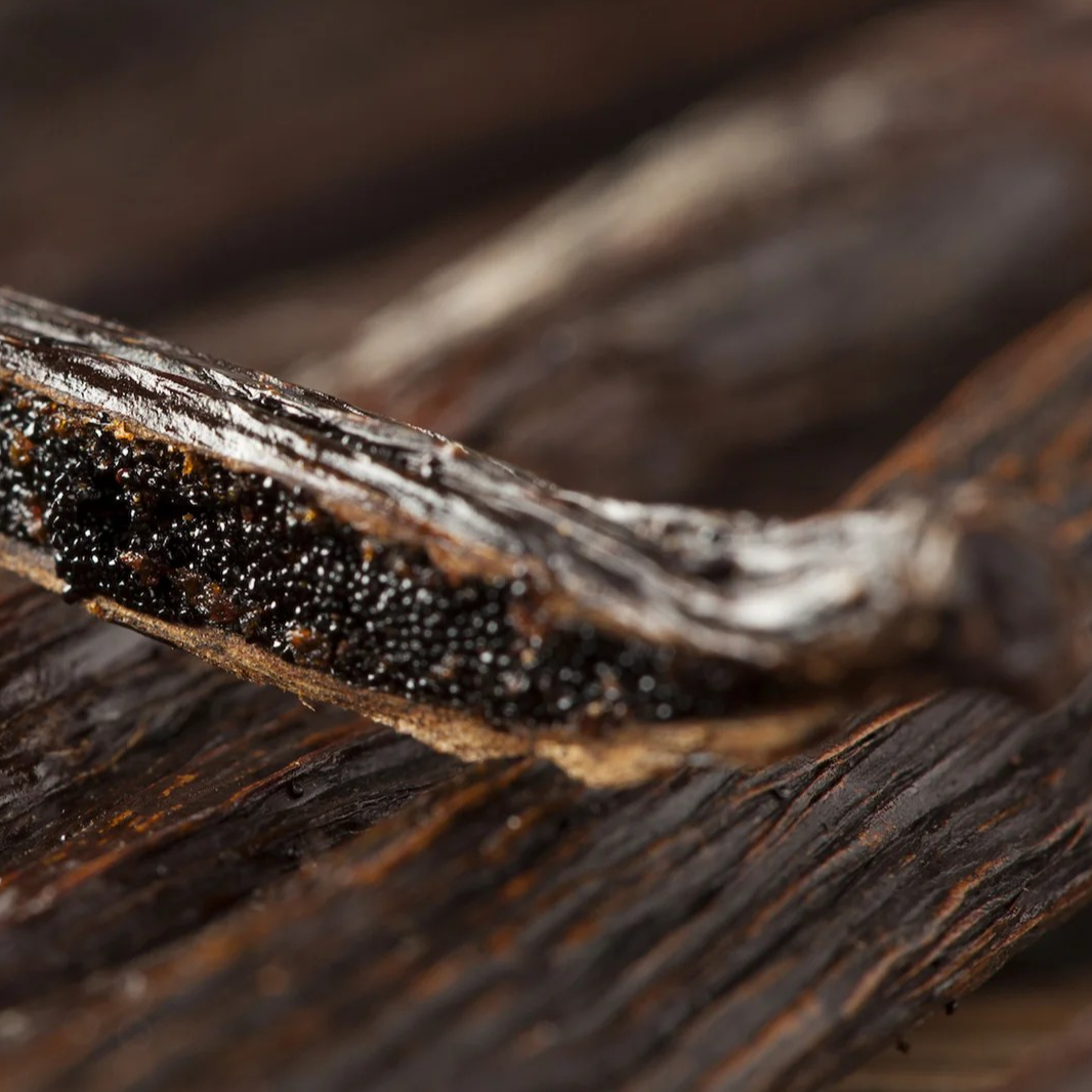 resources of Vanille de Madagascar exporters