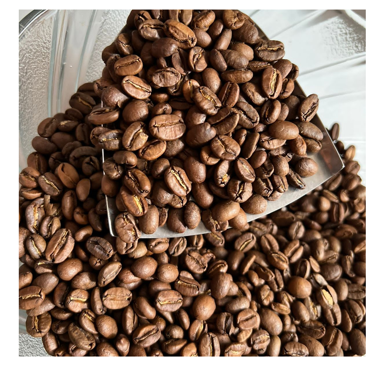 resources of Coffee exporters