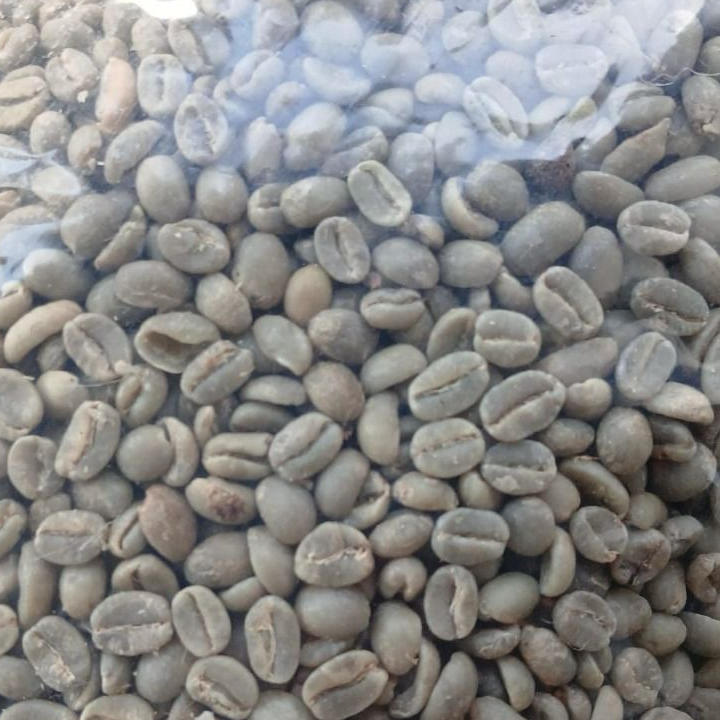 resources of ARABICA GREEN COFFEE BEANS exporters