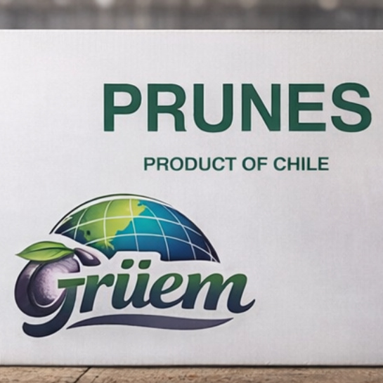 resources of Dried prunes exporters