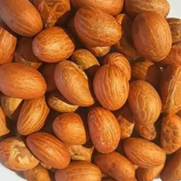 resources of Bitter Kola exporters