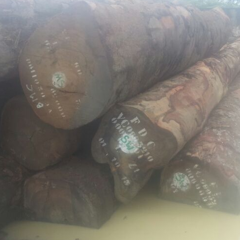 resources of Tali exporters