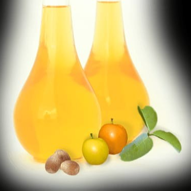 resources of Marulabutter exporters