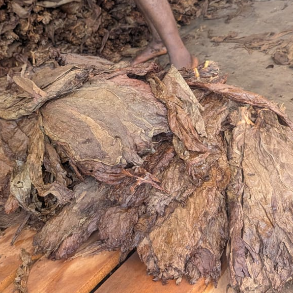 resources of Tobacco Leaf (Wrappers, Binders, Fillers) and Chewing Tobacco exporters