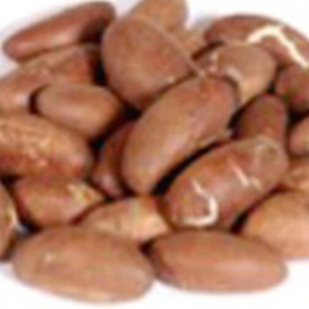 resources of Bitter Kola exporters