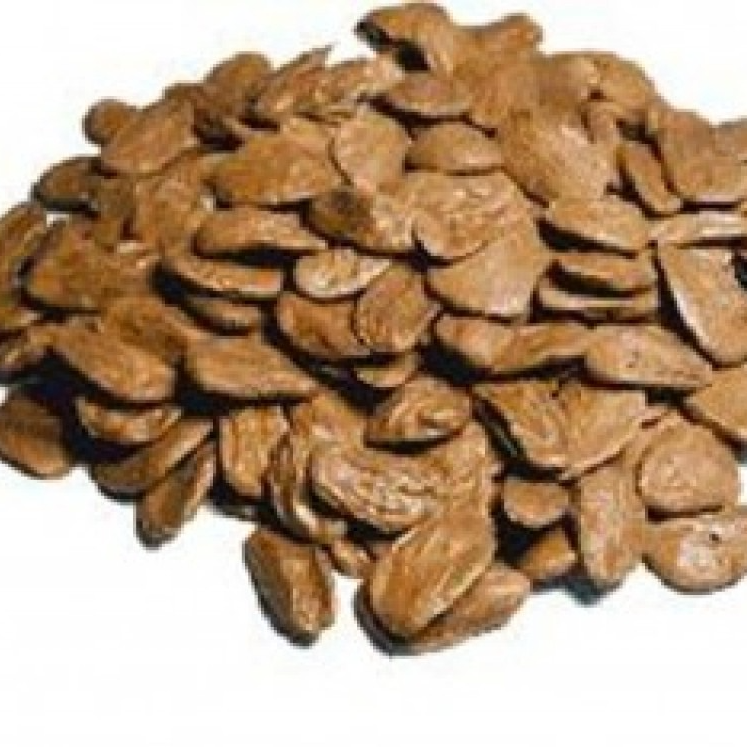 resources of Picralima Nitida seeds exporters