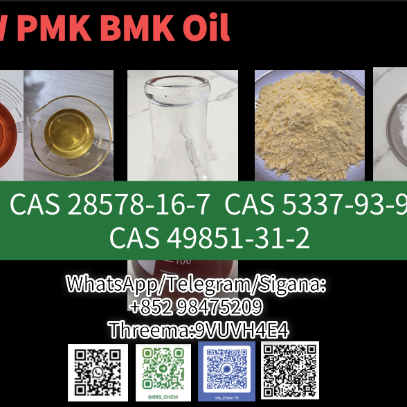 resources of CAS 28578-16-7 High quantity cheap price in stock NEW B-MK Supply exporters