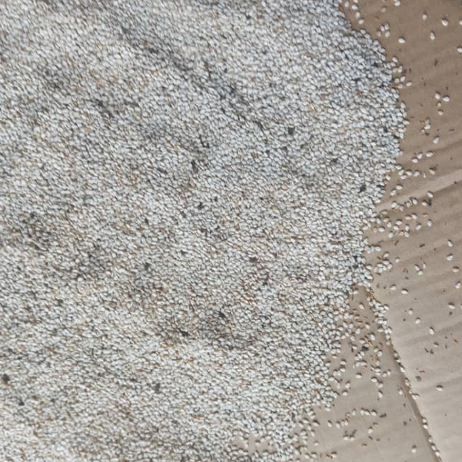 resources of White Sesame Seeds / Red Sesame Seeds exporters