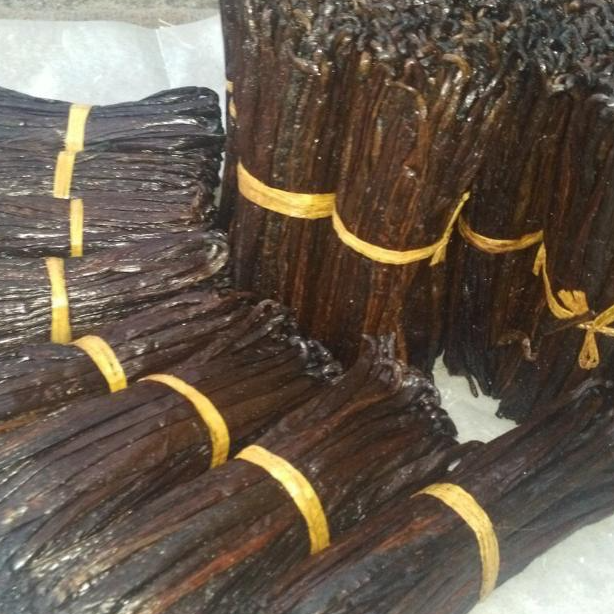resources of Madagascar Vanilla beans exporters